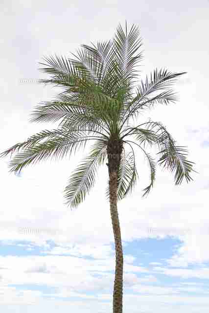 都道府県あるある