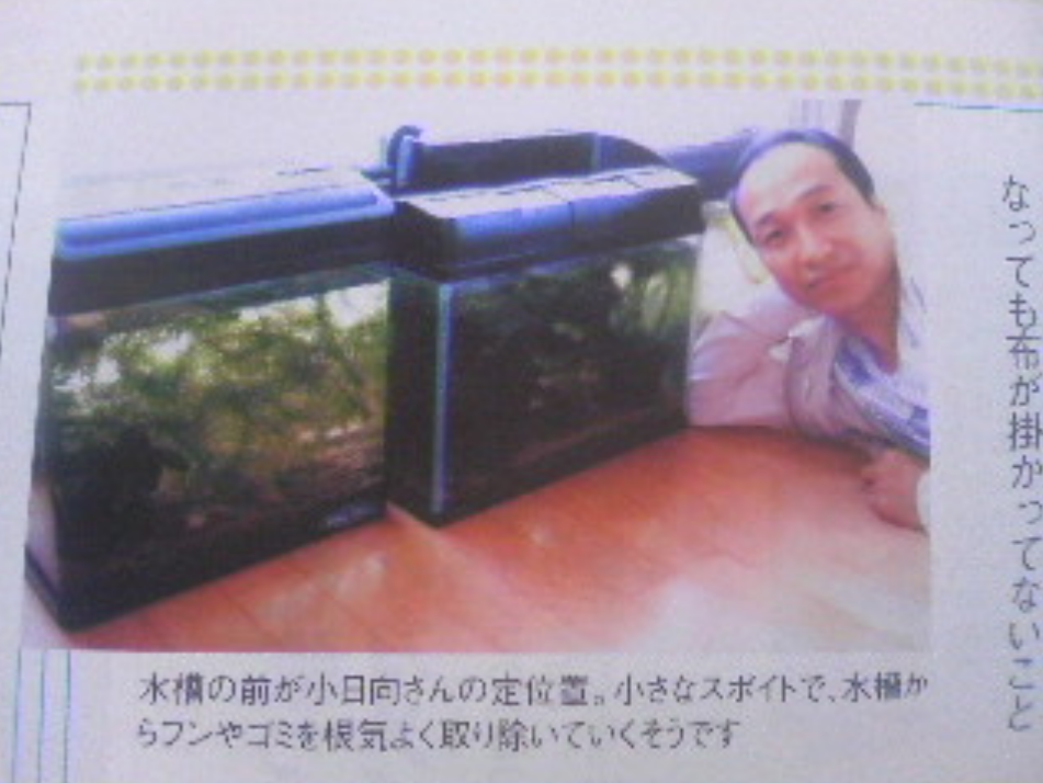 小日向文世さんが好き！