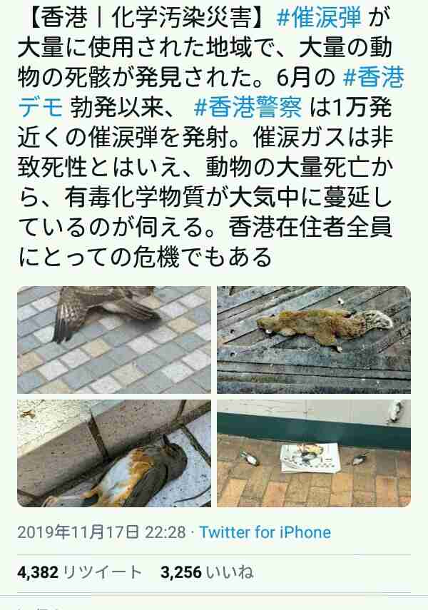 香港 市民と警察が衝突 東京農大生も身柄拘束