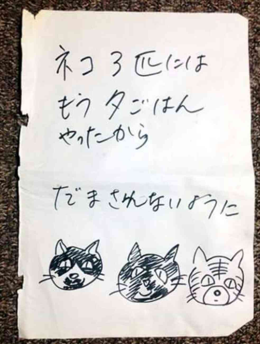 人間よりも動物を信頼？　「嘘や裏切りがないから」との意見も