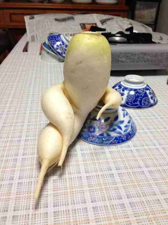 心がウキウキするような画像【楽しい、面白い、幸せ】