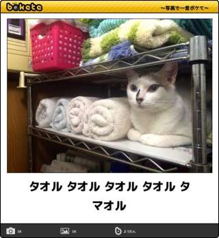 いいタオル