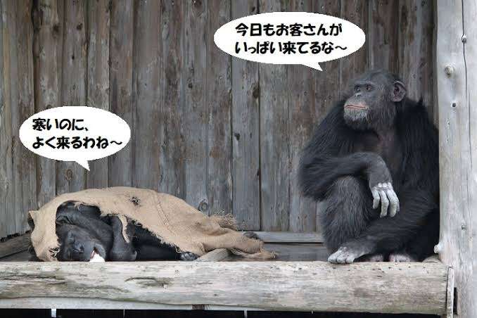 本当に感情が伝わる！と思った画像やGIFが集まるトピ