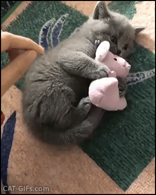 本当に感情が伝わる！と思った画像やGIFが集まるトピ