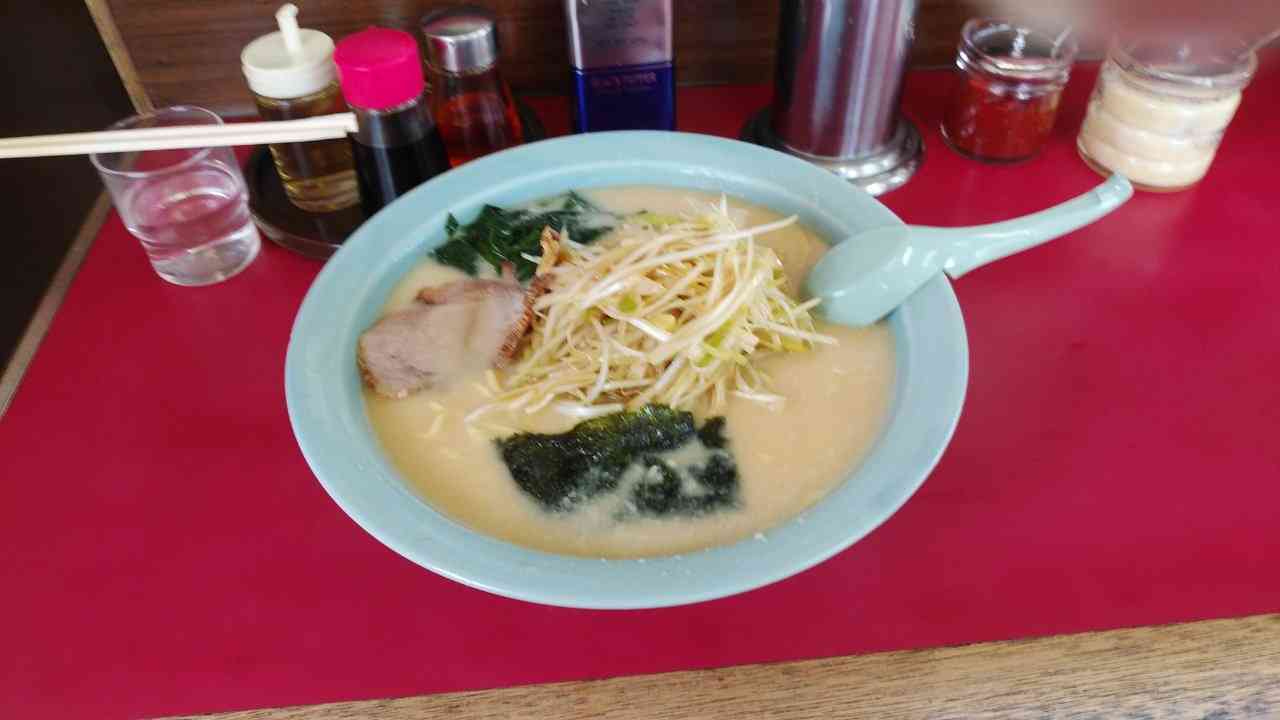 とにかくネギが好き🍲