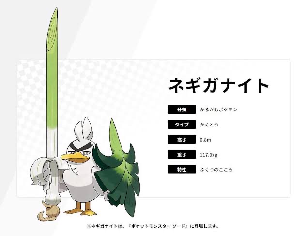 とにかくネギが好き🍲
