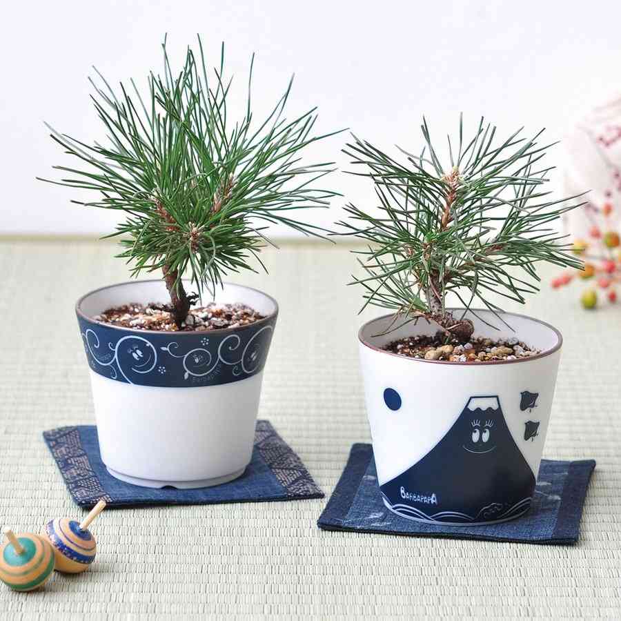 みるみるお金が貯まるようになる買い物習慣とは