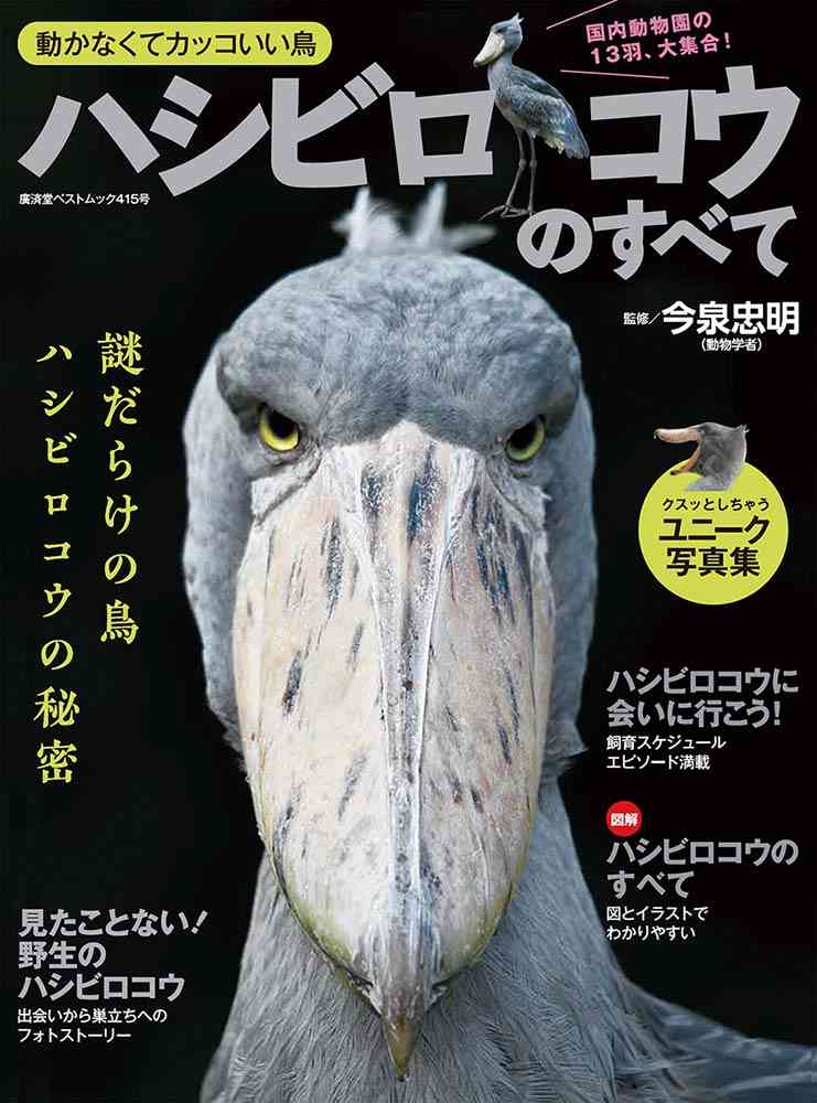 最近一目惚れして買ったもの