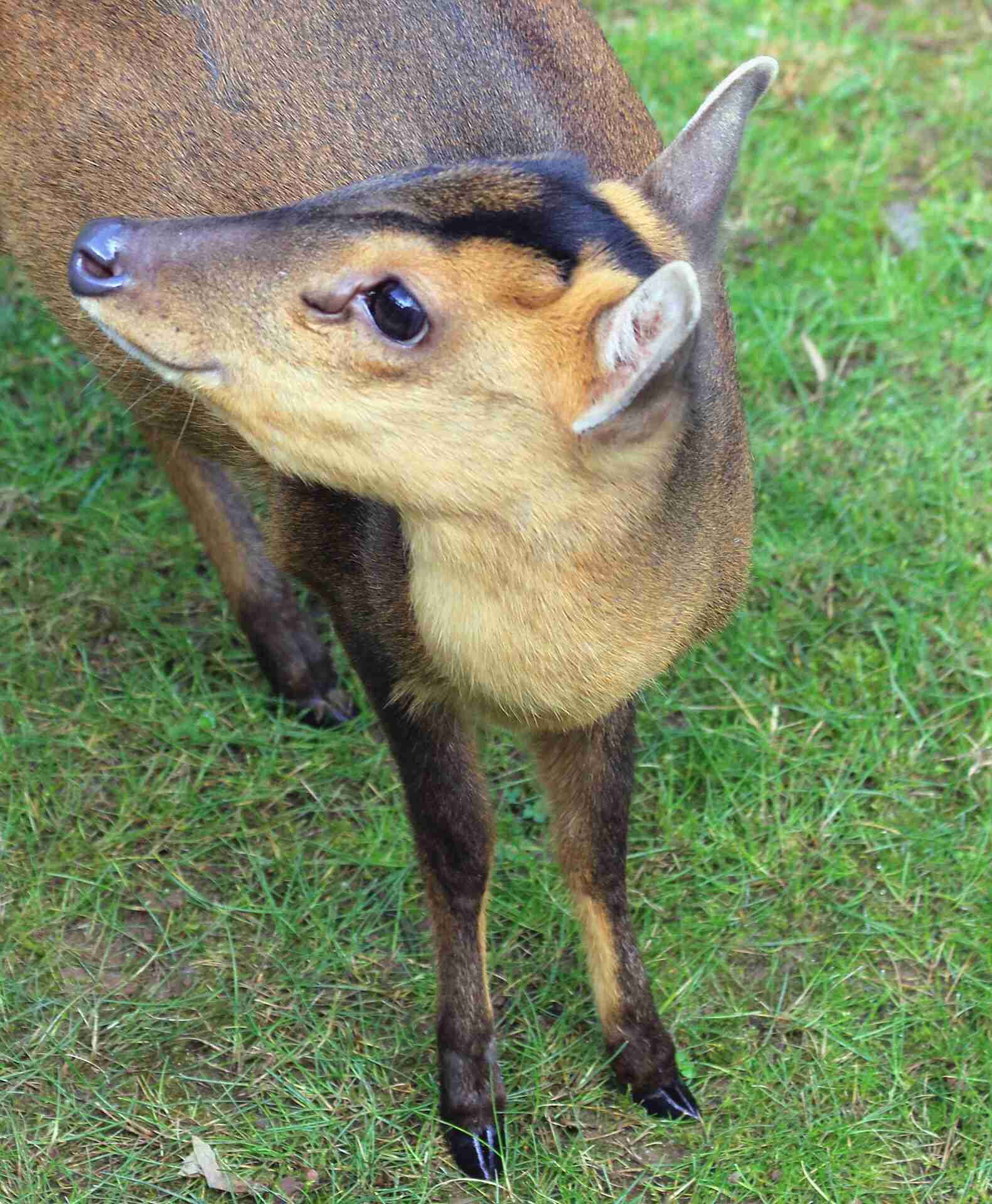 キュンとした口説き文句