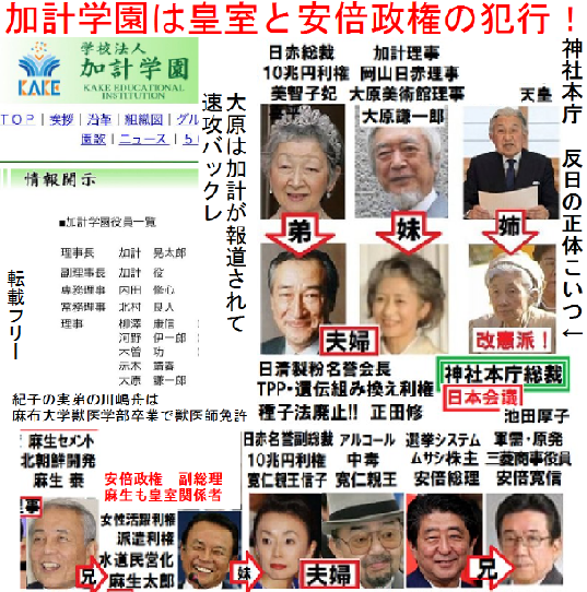 上皇后さま、血混じる嘔吐も　ストレス原因か、経過観察　宮内庁