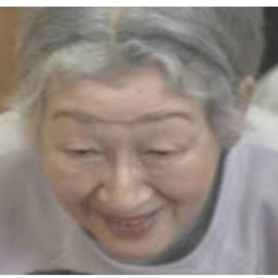 上皇后さま、血混じる嘔吐も ストレス原因か、経過観察 宮内庁