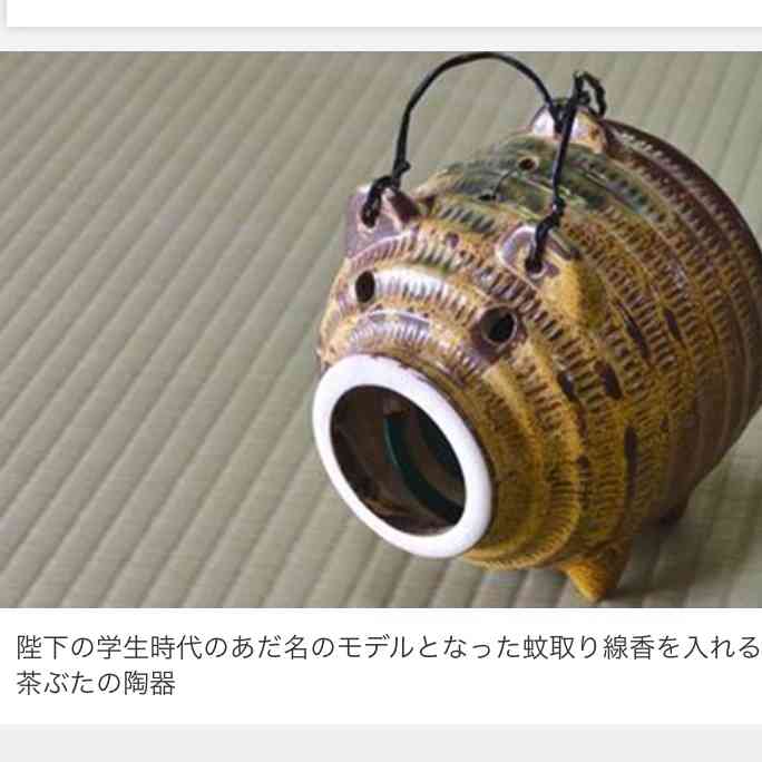 上皇后さま、血混じる嘔吐も　ストレス原因か、経過観察　宮内庁