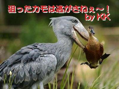 上皇后さま、血混じる嘔吐も　ストレス原因か、経過観察　宮内庁