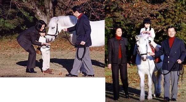 上皇后さま、血混じる嘔吐も　ストレス原因か、経過観察　宮内庁