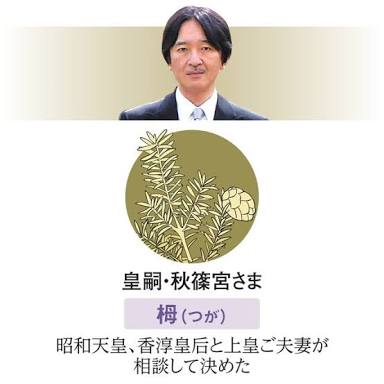 上皇后さま、血混じる嘔吐も　ストレス原因か、経過観察　宮内庁