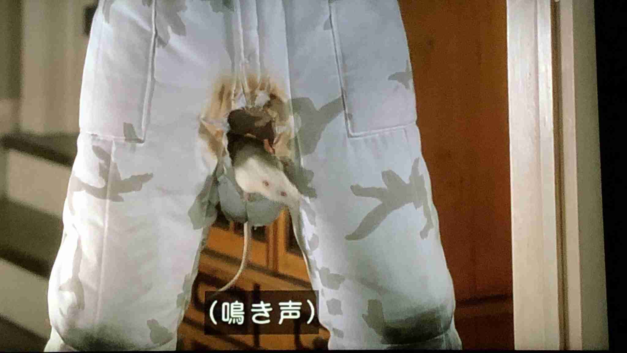 【実況・感想】金曜ロードSHOW!「ホーム・アローン3」