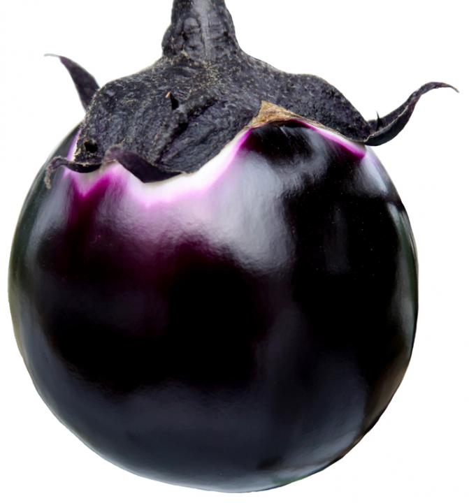 俳優・新田真剣佑