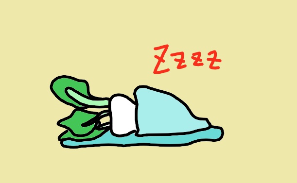 『投資』の門を開きたい