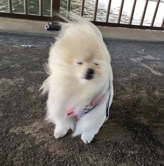 疲れると出てくる症状