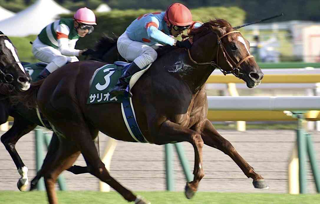 【競馬】UMAJO集まれ！ Part 3