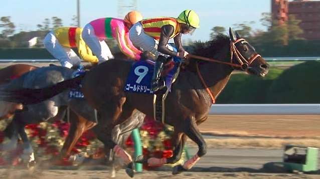【競馬】UMAJO集まれ！ Part 3
