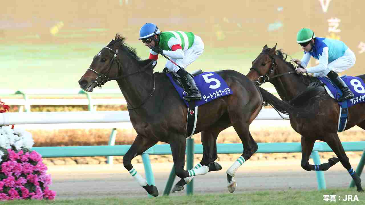【競馬】UMAJO集まれ！ Part 3