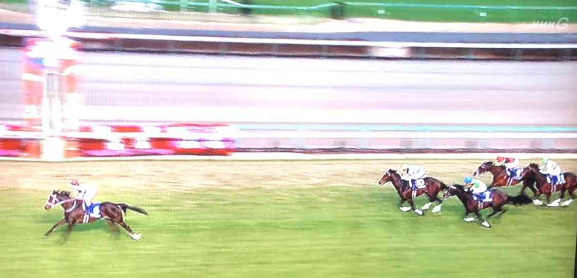 【競馬】UMAJO集まれ！ Part 3