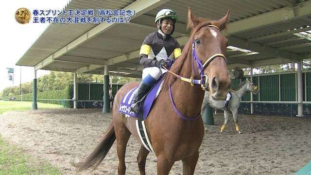 【競馬】UMAJO集まれ！ Part 3