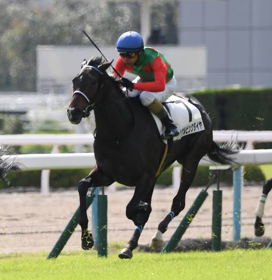 【競馬】UMAJO集まれ！ Part 3
