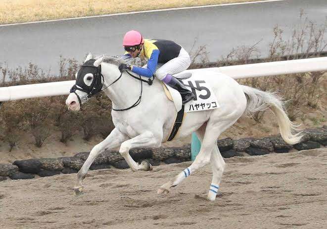 【競馬】UMAJO集まれ！ Part 3