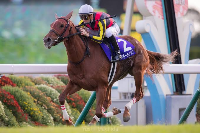 【競馬】UMAJO集まれ！ Part 3