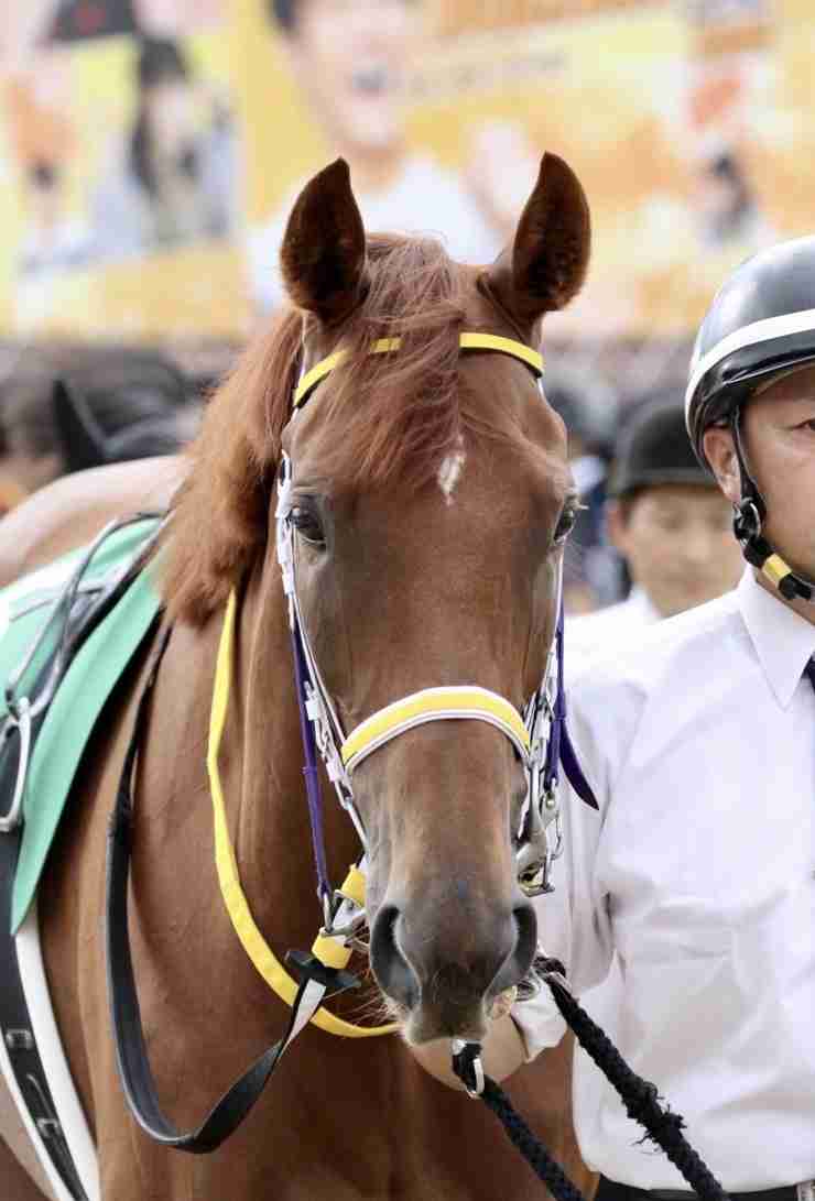 【競馬】UMAJO集まれ！ Part 3