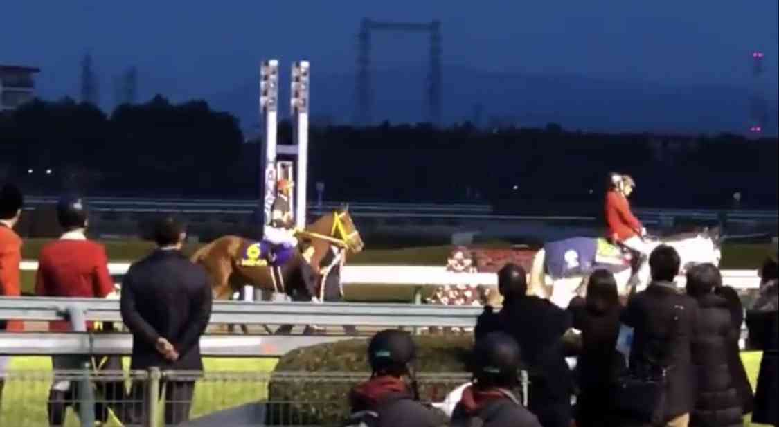 【競馬】UMAJO集まれ！ Part 3