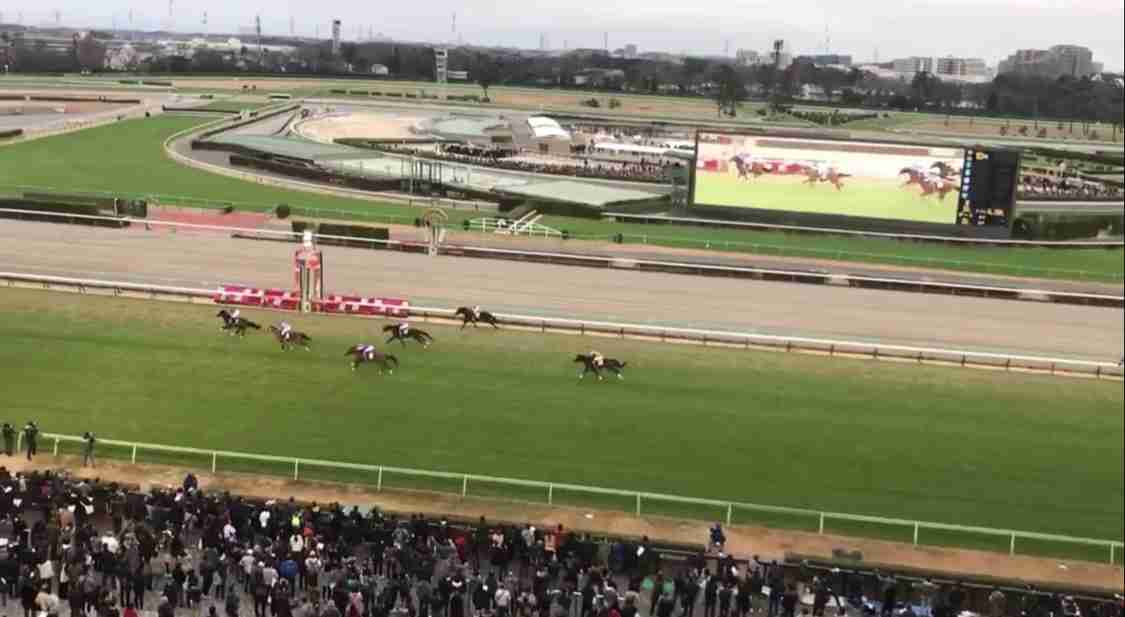 【競馬】UMAJO集まれ！ Part 3
