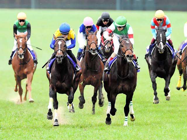 【競馬】UMAJO集まれ！ Part 3