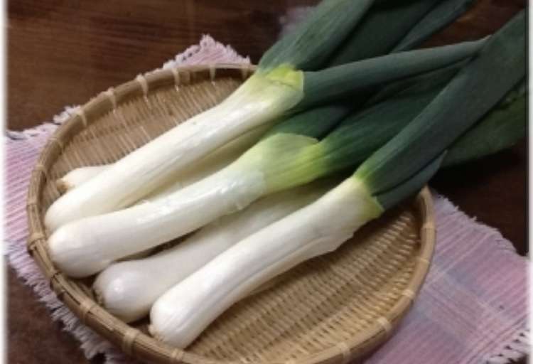 地元の美味しいものを言うトピ