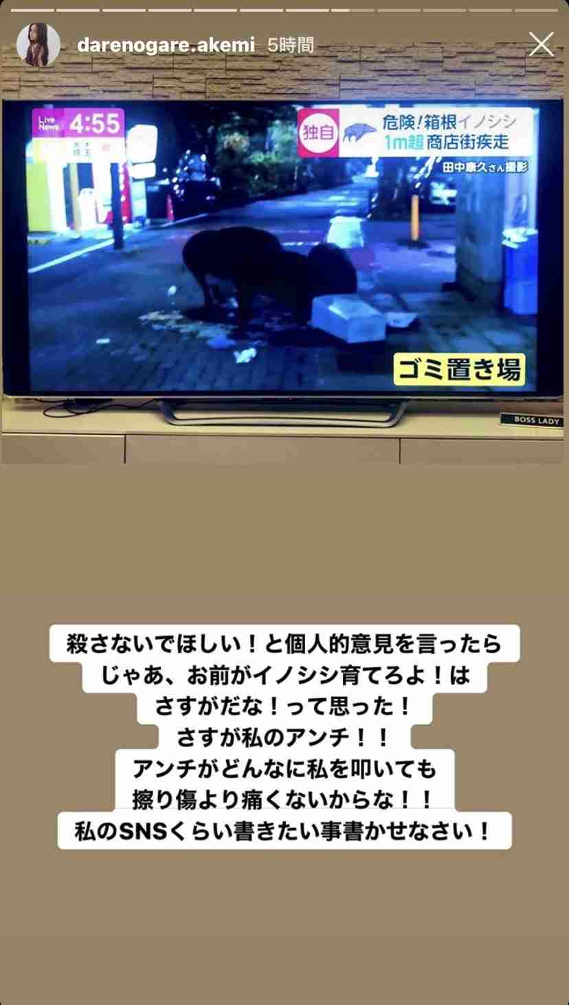 ダレノガレ「イノシシを殺さないで」発言で炎上？ 「都会人の発想」獣害問題に持論も批判の声相次ぐ