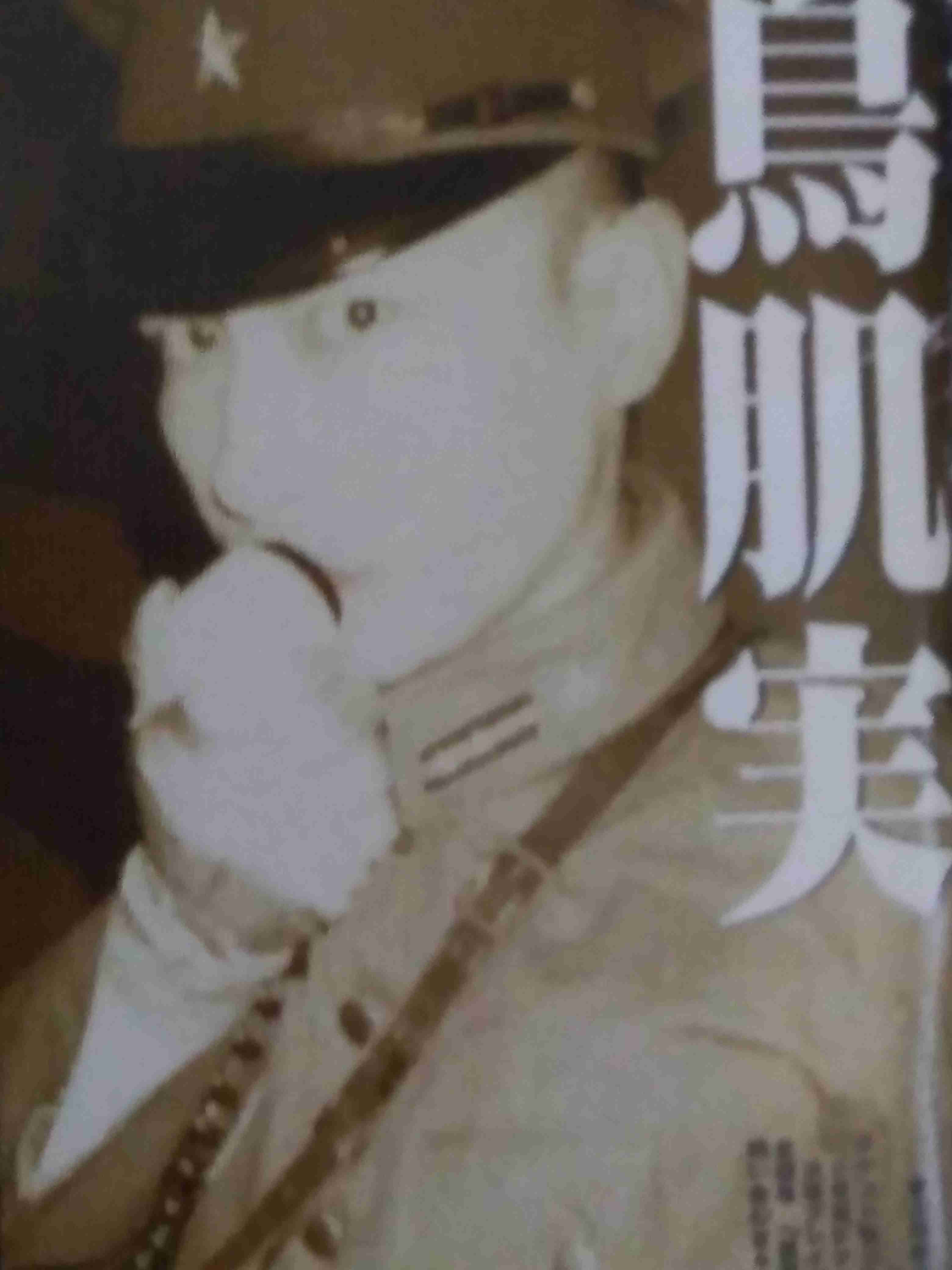 【年末】鳥肌実を愛でたい