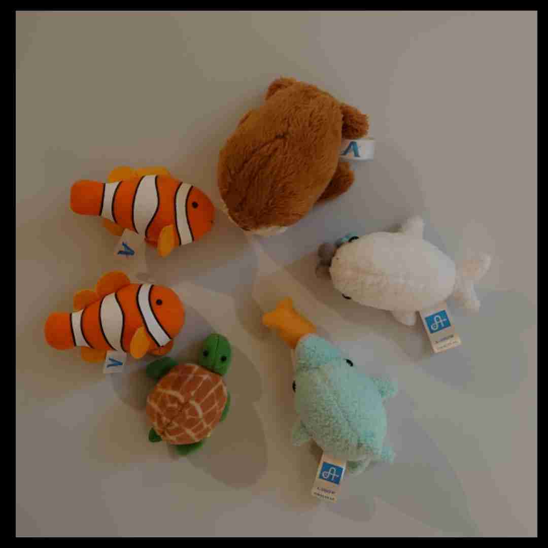 マグネット集めてる人？いますか？