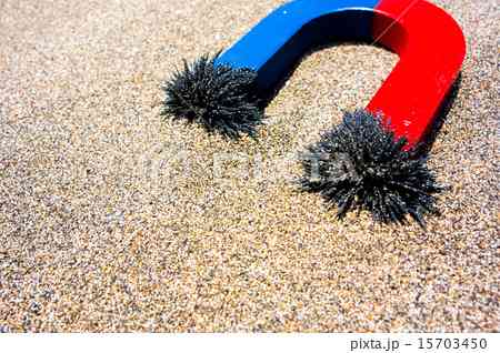 マグネット集めてる人？いますか？