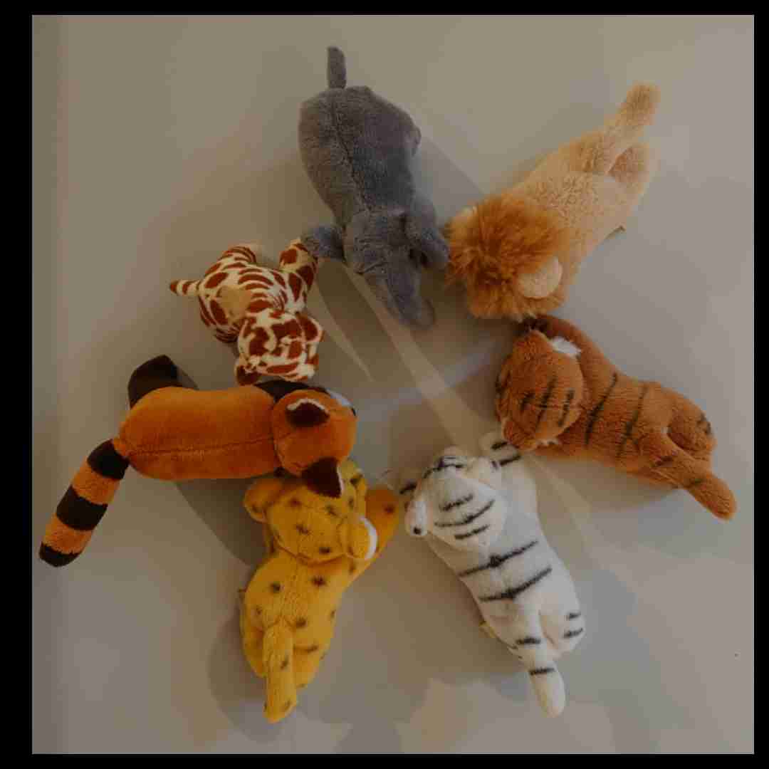 マグネット集めてる人？いますか？