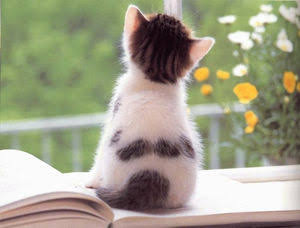 他人の猫背、気になる？