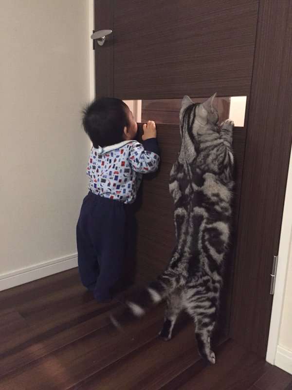 他人の猫背、気になる？