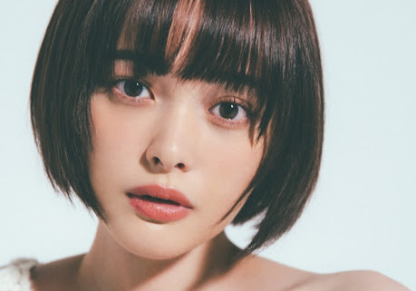 似てると言われて嬉しかった有名人