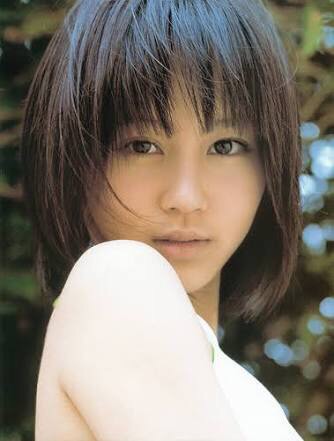 似てると言われて嬉しかった有名人