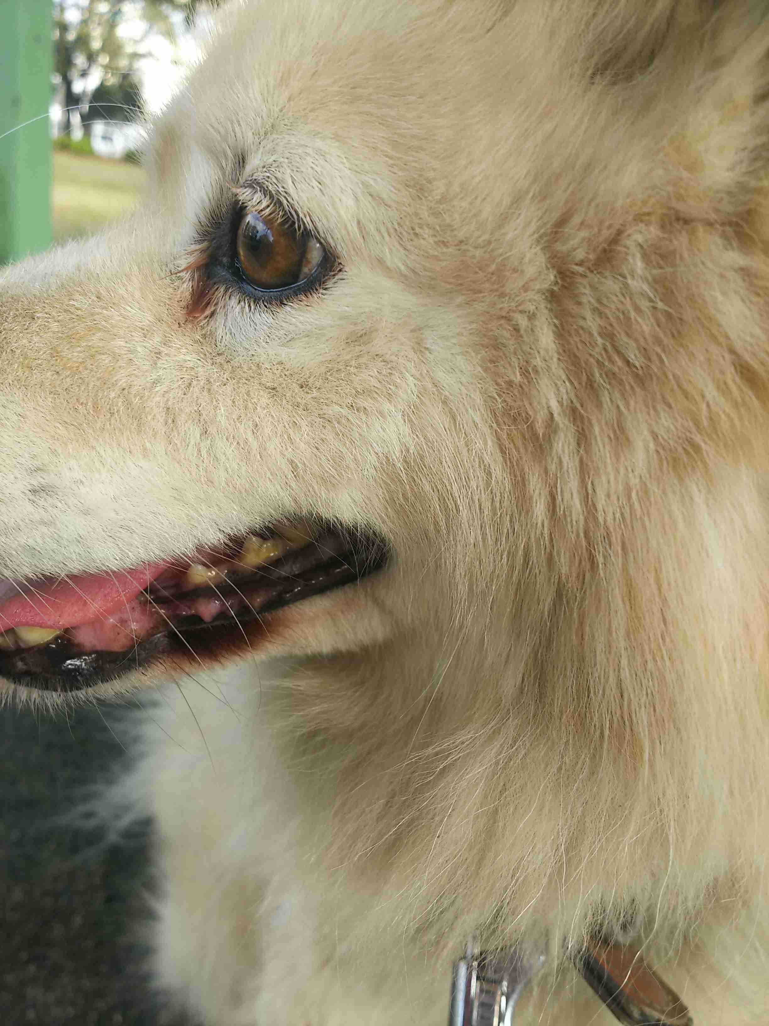 動物~写真へたくそ選手権~part2