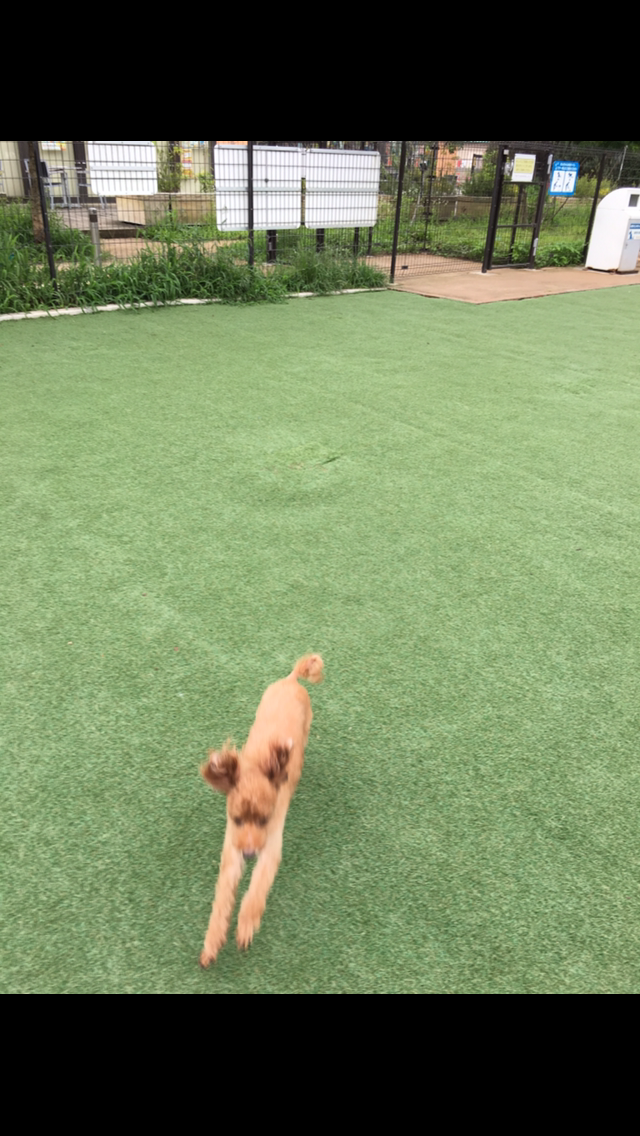 動物~写真へたくそ選手権~part2