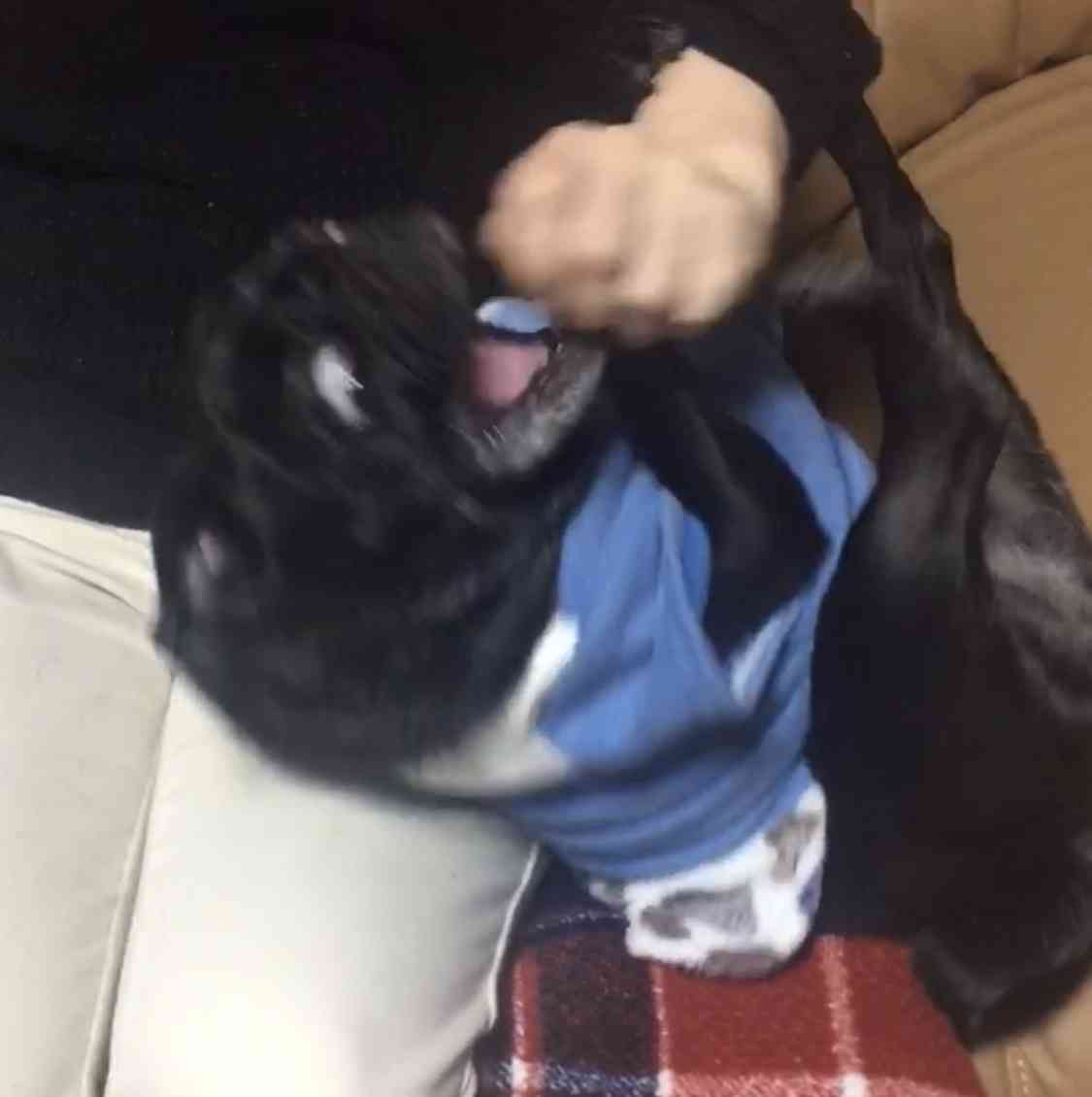 動物~写真へたくそ選手権~part2
