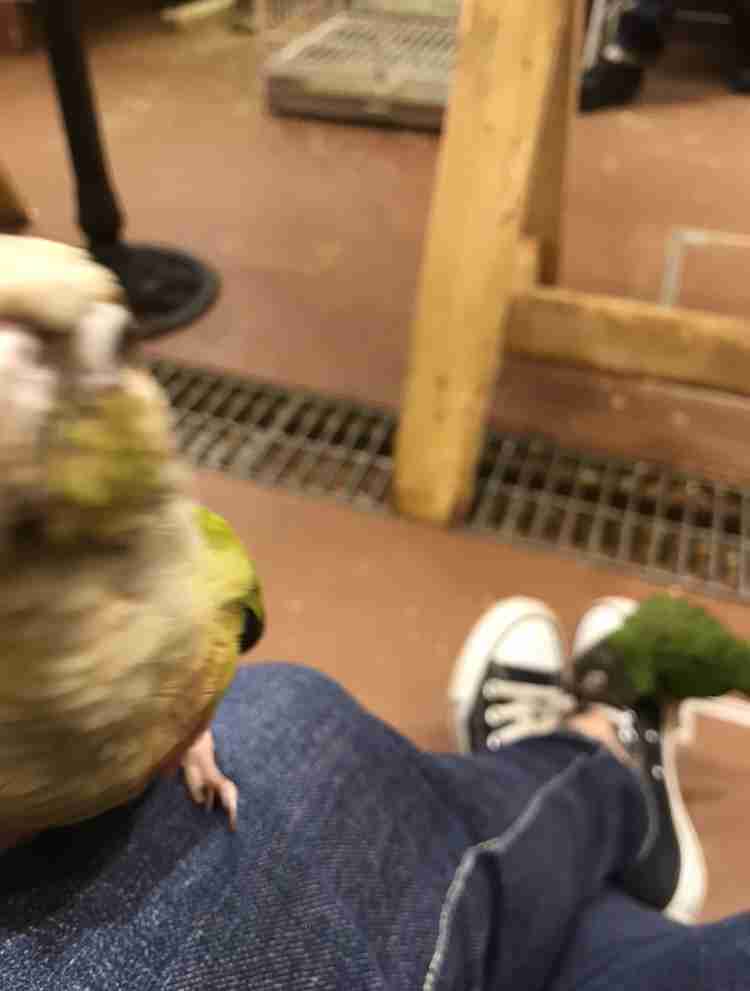 動物~写真へたくそ選手権~part2