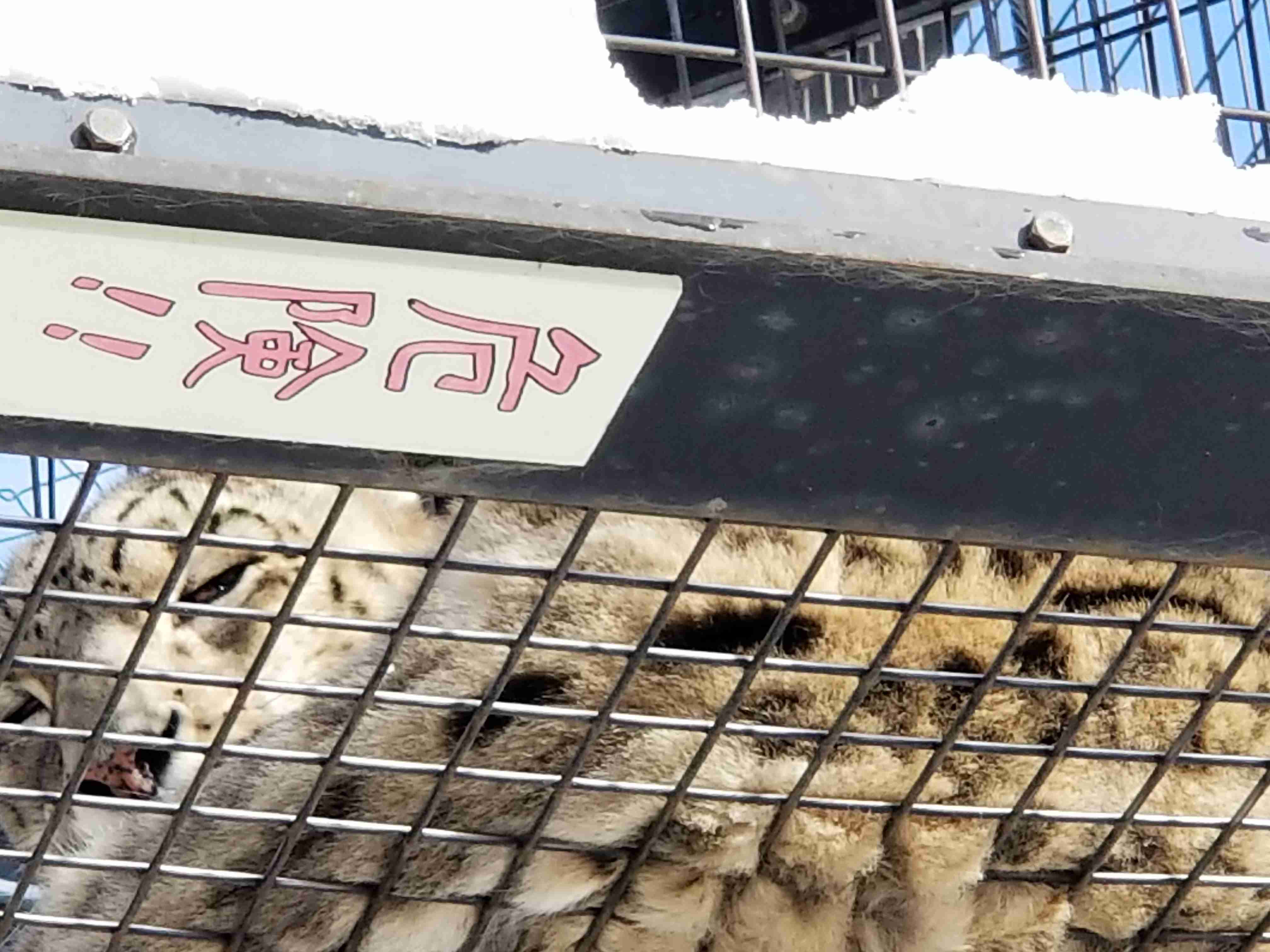 動物~写真へたくそ選手権~part2